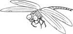 free online coloring dragonfly