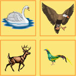 Game online for children Find a superfluous picture