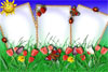 Three picture in one frame online free